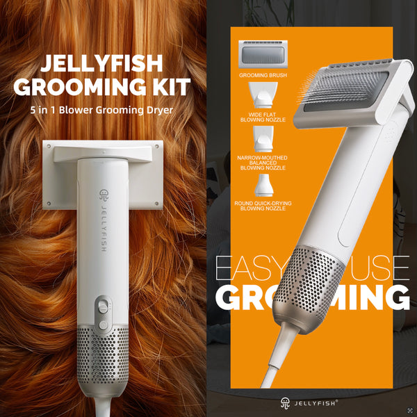 2 in 1 Grooming Kit for Pet-Dog Hair Dryer & Professional Grooming Brush for Frizzy Dog Hair Styling-1.21lb Lightweight Handhold Portable High Velocity Force Blower+4 Replacement Nozzle at Home Travel